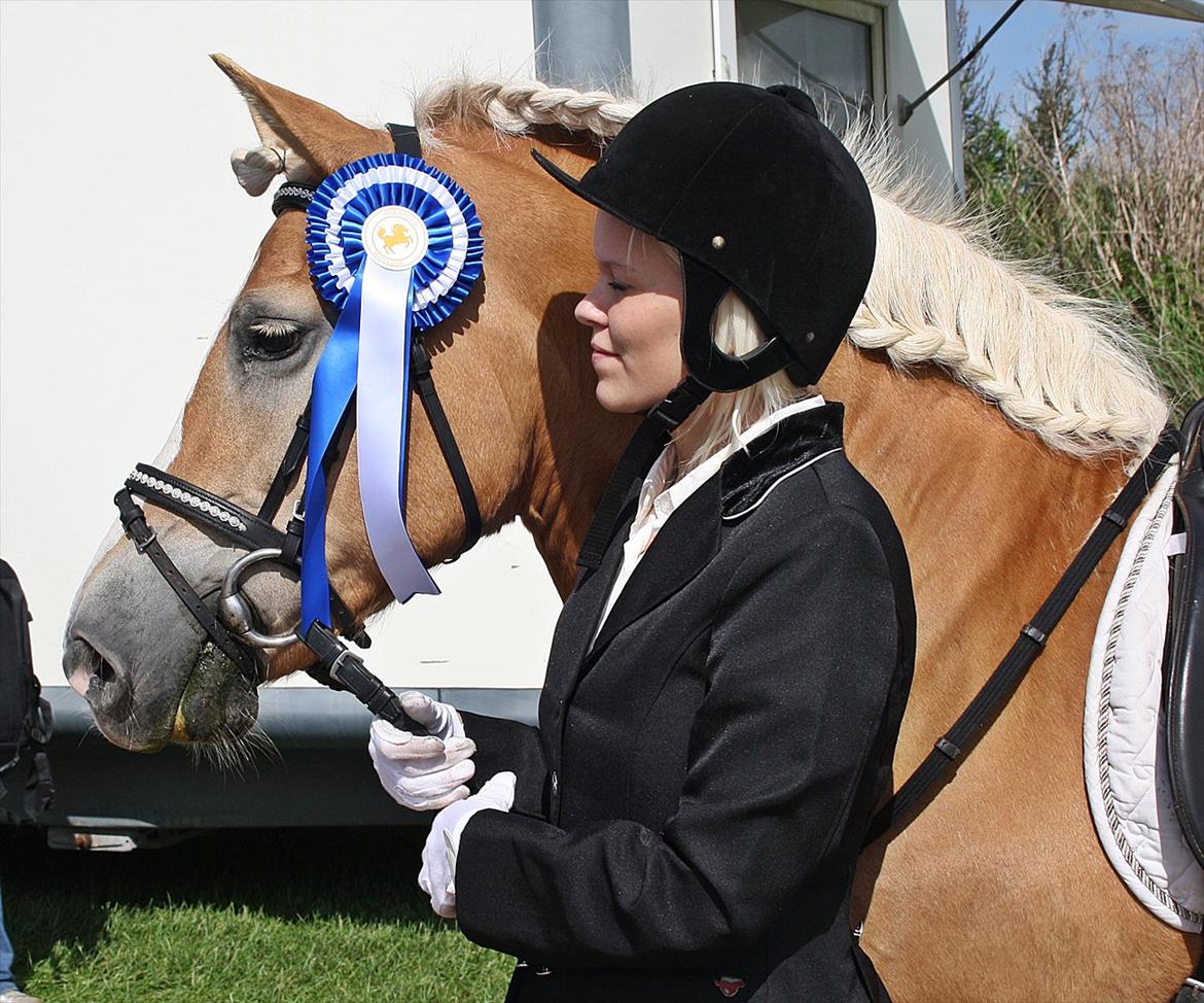 Guldager Rideklub - LD1 (Hest) Gry. billede 18
