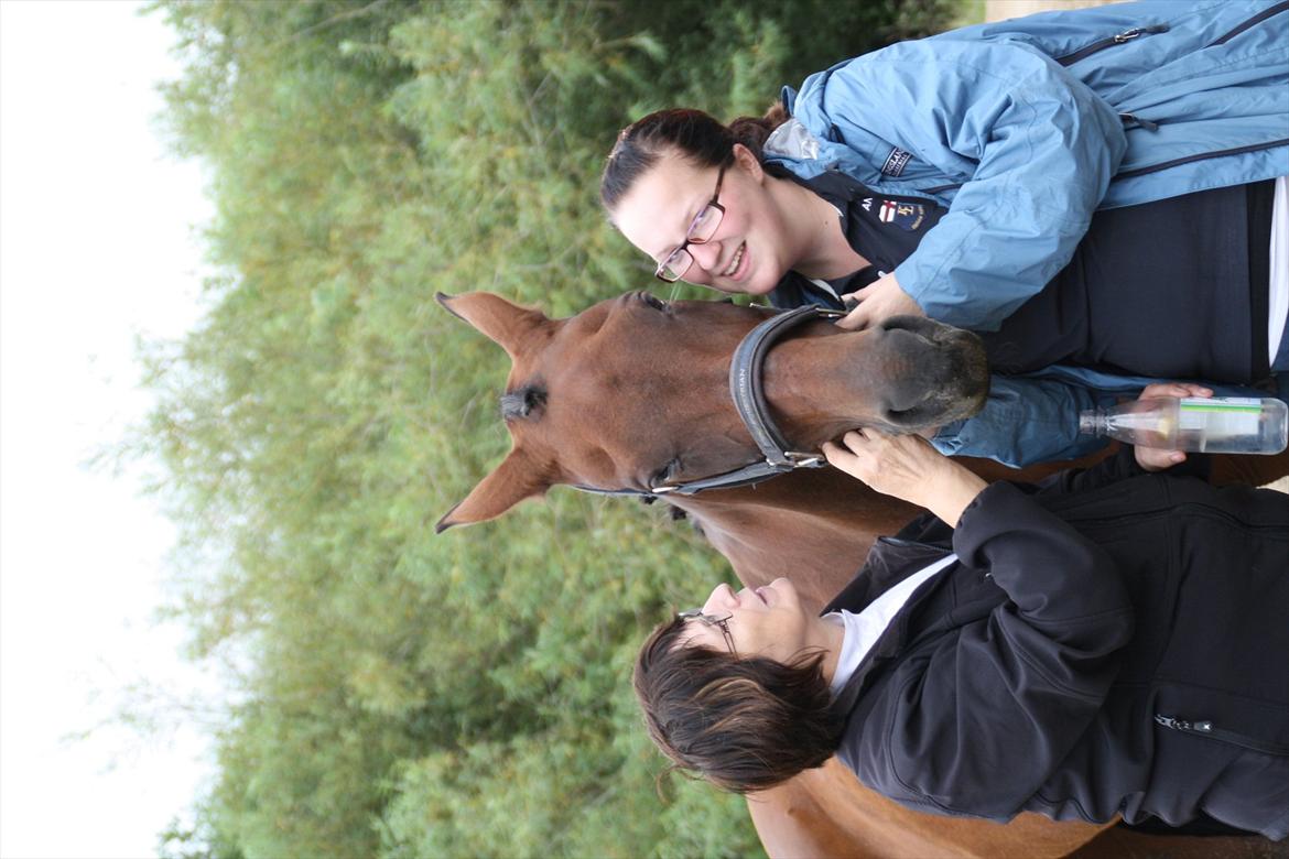 struer rideklub 27/8-11 billede 4