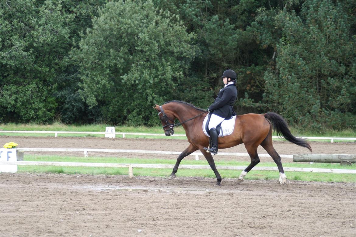 struer rideklub 27/8-11 billede 10