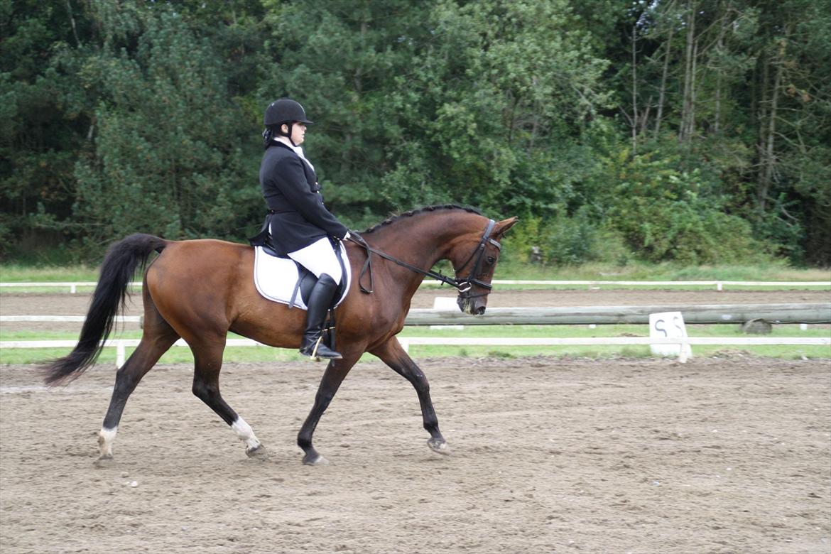 struer rideklub 27/8-11 billede 11