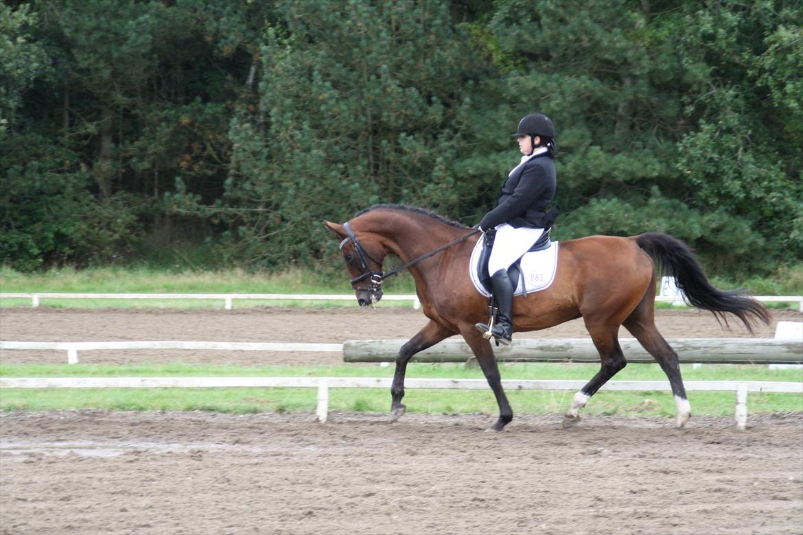 struer rideklub 27/8-11 billede 14