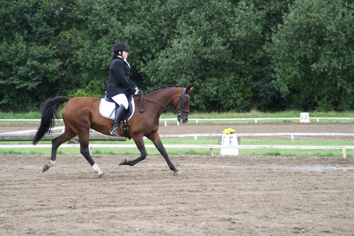 struer rideklub 27/8-11 billede 2