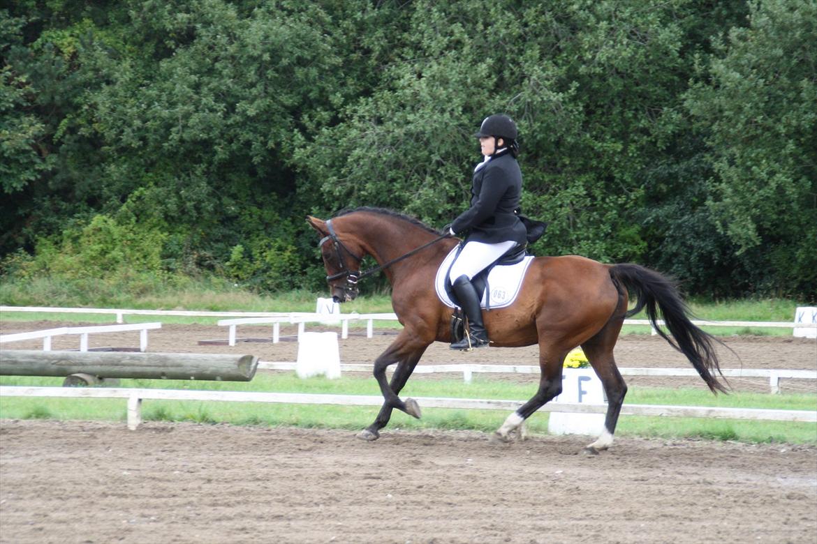 struer rideklub 27/8-11 billede 15