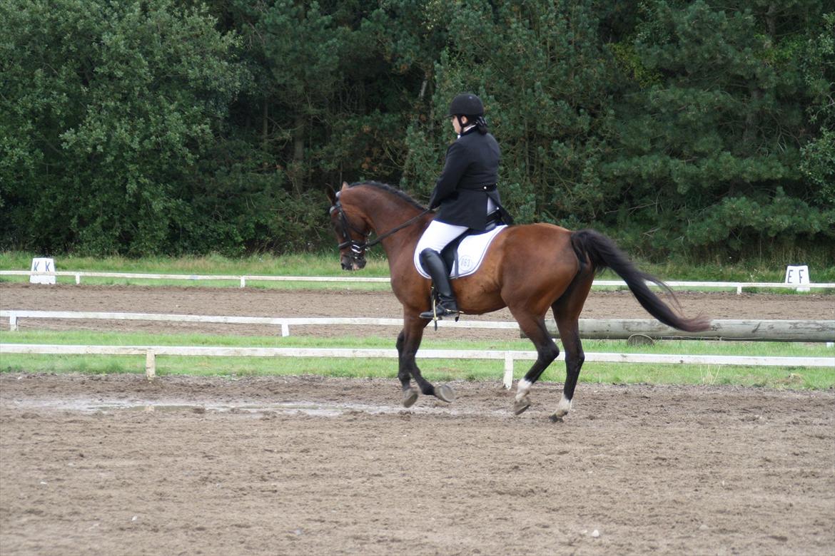 struer rideklub 27/8-11 billede 16