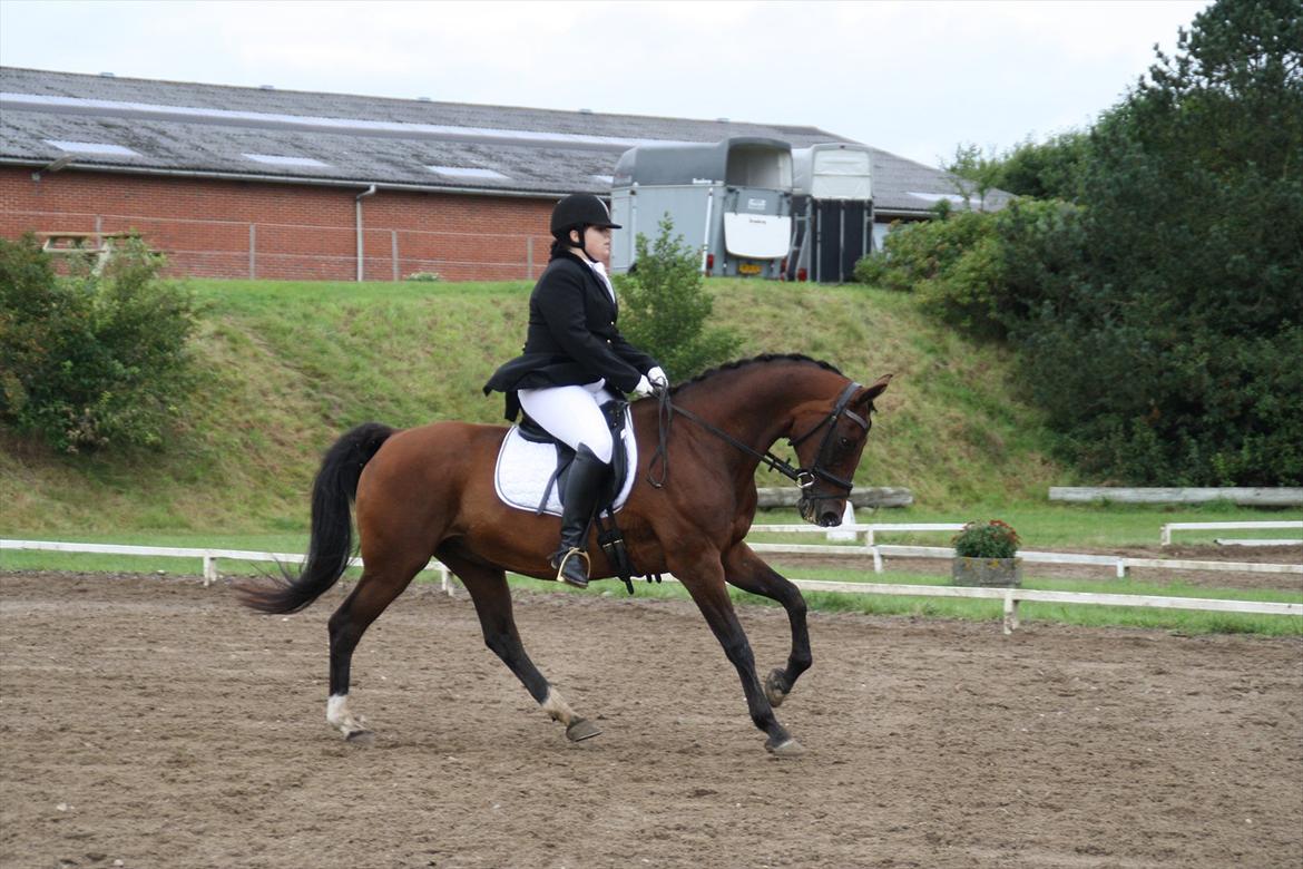 struer rideklub 27/8-11 billede 17