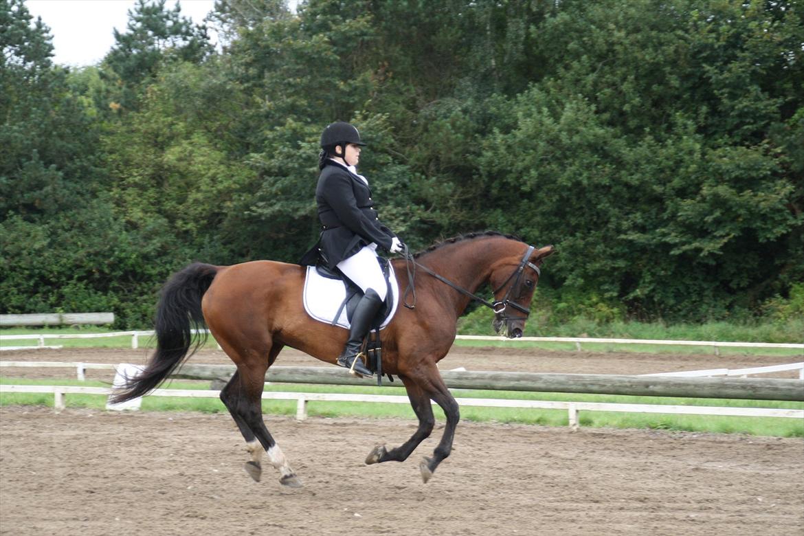 struer rideklub 27/8-11 billede 18