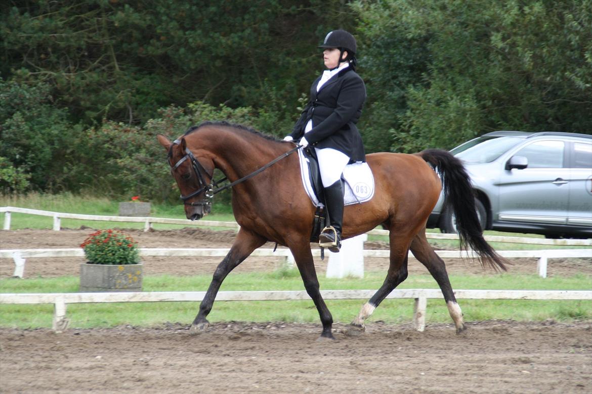 struer rideklub 27/8-11 billede 1