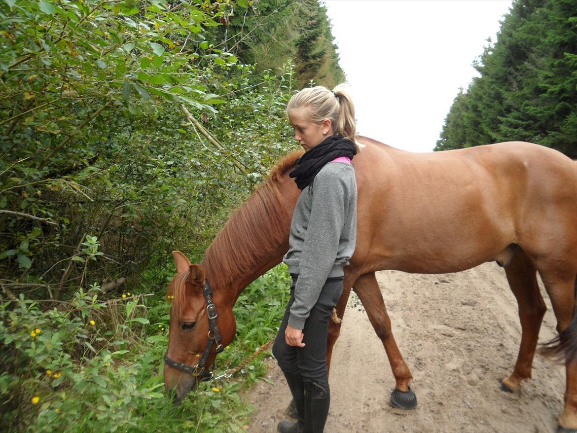 SKRK. Hyggelige tider med Skive Rideklub.  - Astrid og Marco, med på træk tur i skoven :)) billede 2