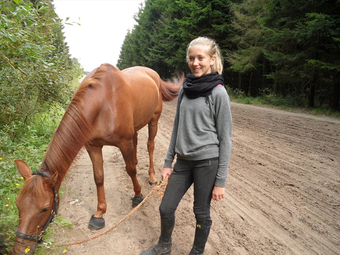 SKRK. Hyggelige tider med Skive Rideklub.  billede 3