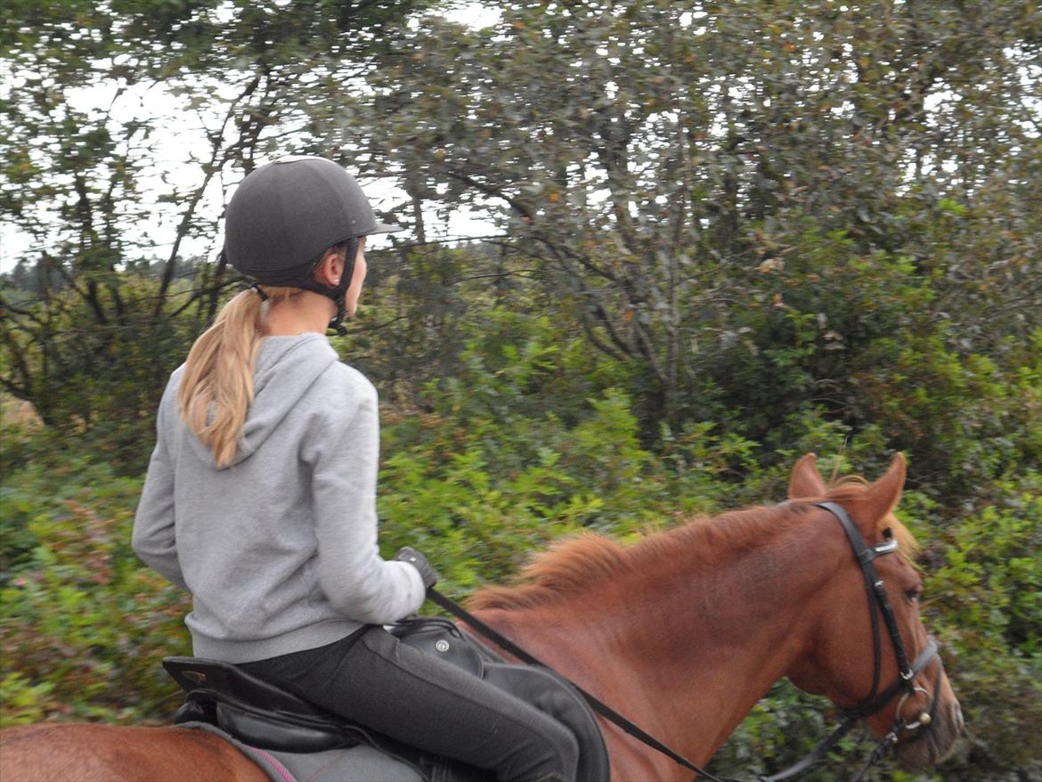 SKRK. Hyggelige tider med Skive Rideklub.  billede 11