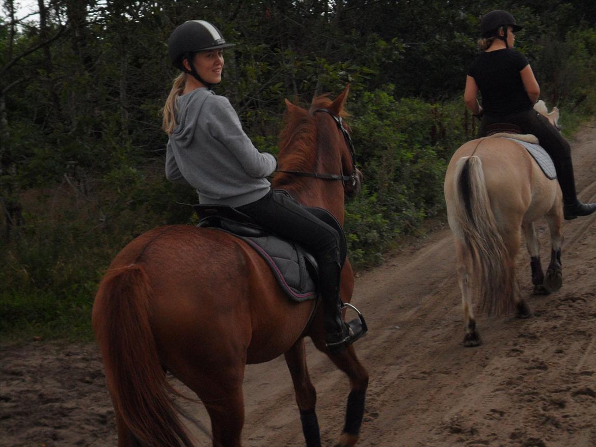 SKRK. Hyggelige tider med Skive Rideklub.  billede 12
