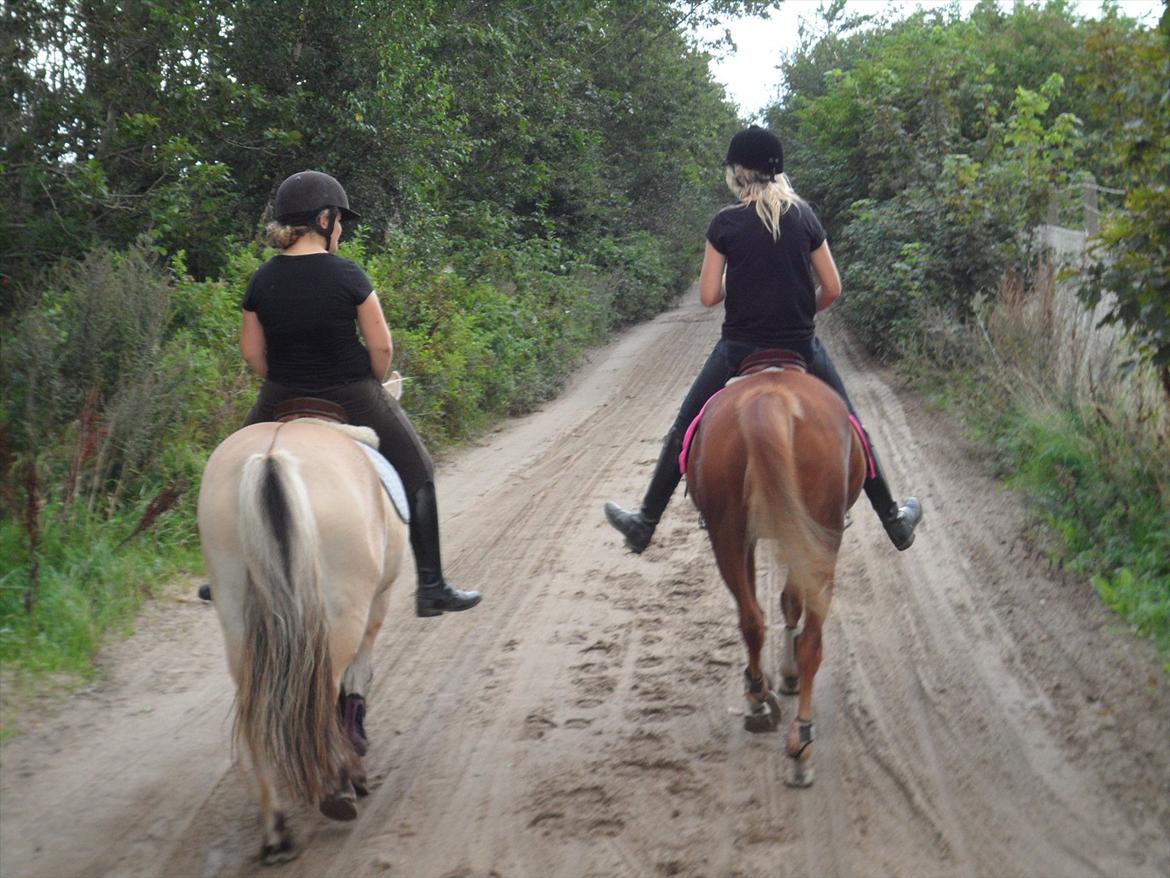 SKRK. Hyggelige tider med Skive Rideklub.  billede 13
