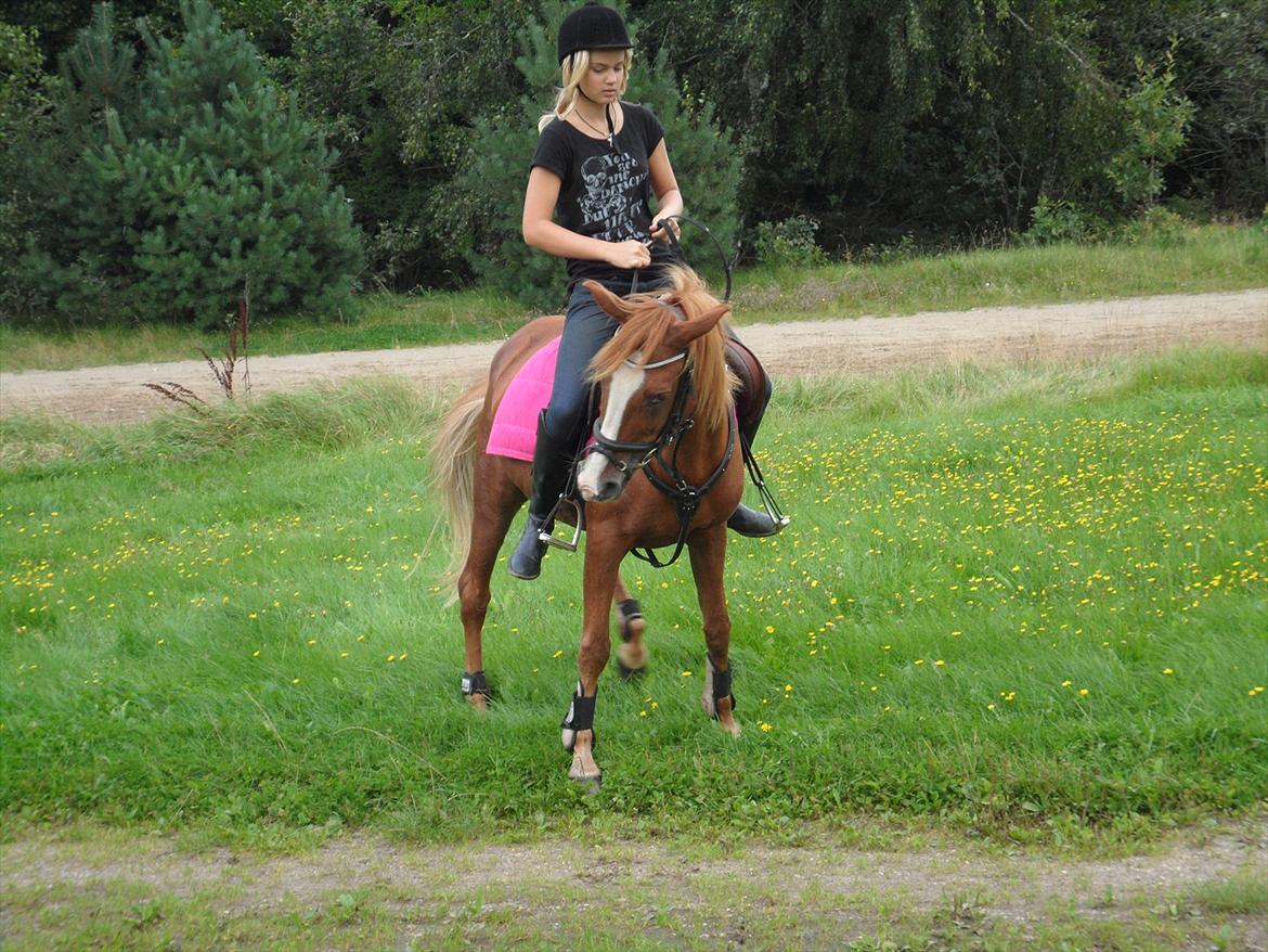 SKRK. Hyggelige tider med Skive Rideklub.  - Delphine kunne ikke stå stille :P billede 14