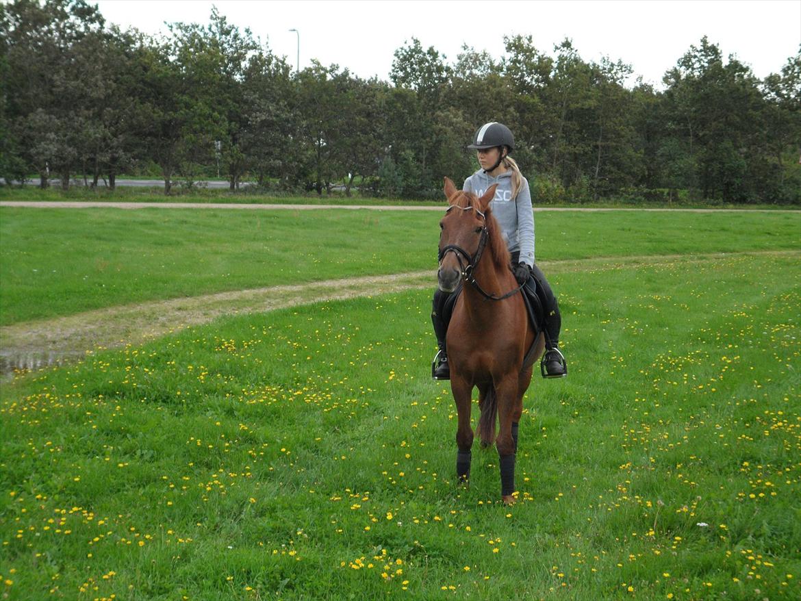 SKRK. Hyggelige tider med Skive Rideklub.  billede 15