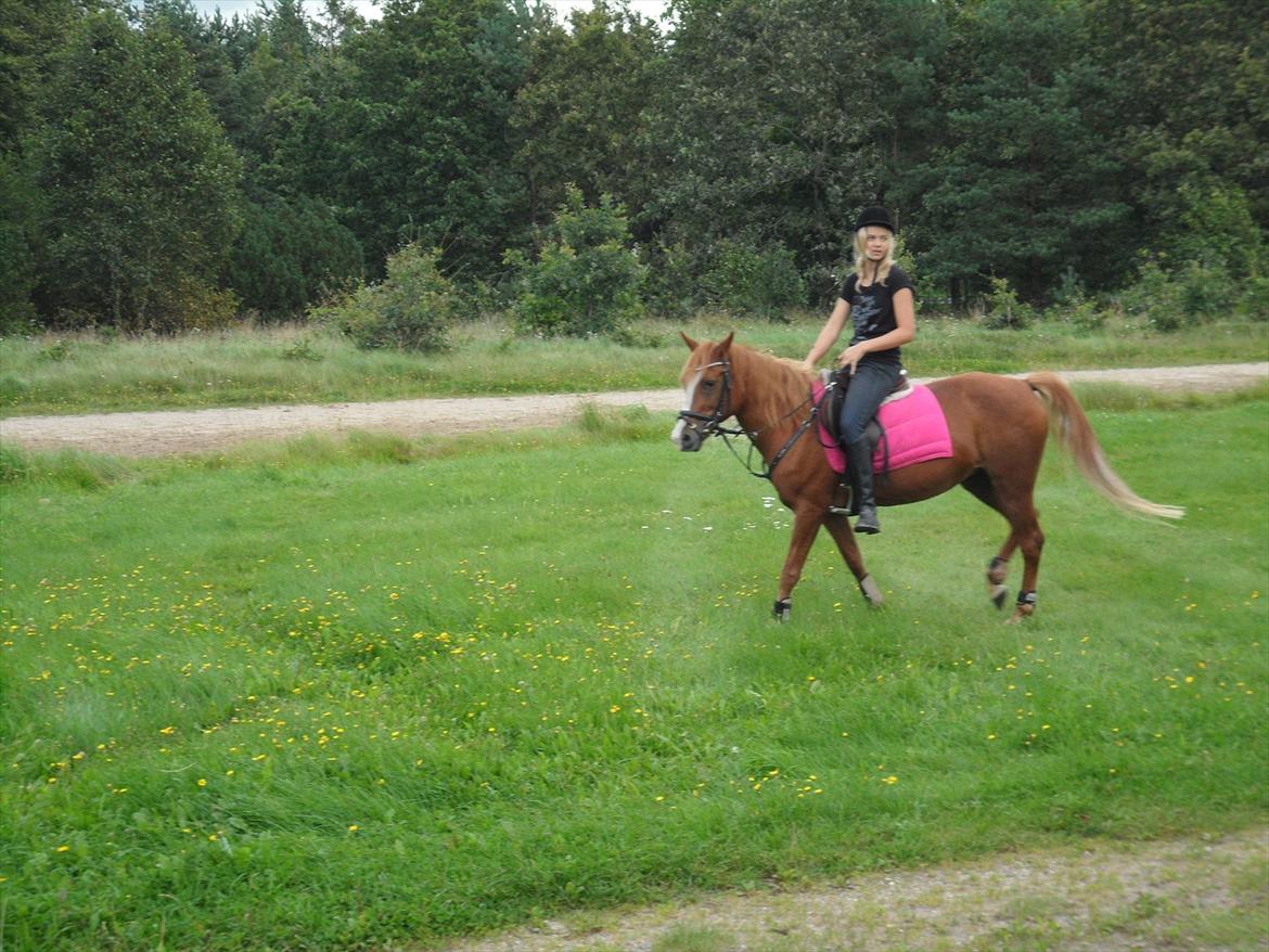SKRK. Hyggelige tider med Skive Rideklub.  billede 17