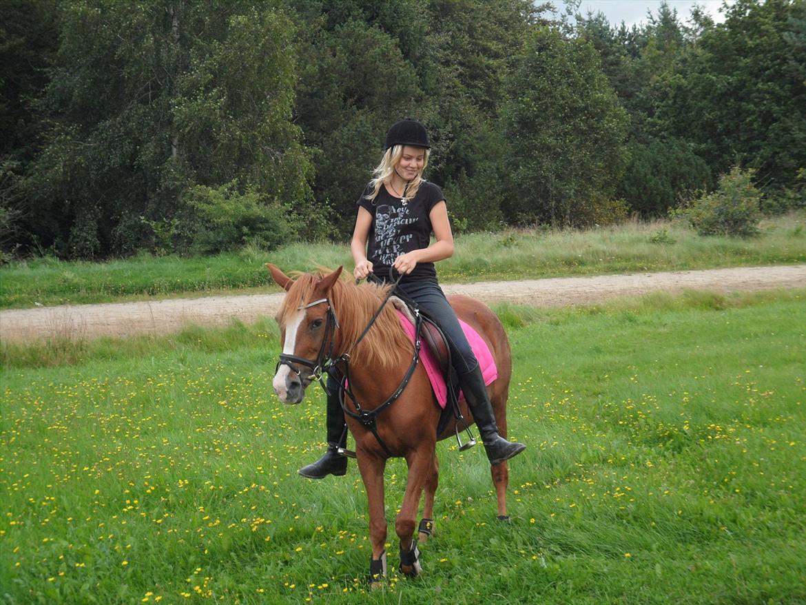 SKRK. Hyggelige tider med Skive Rideklub.  billede 19