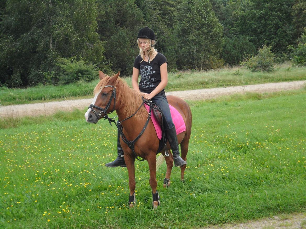 SKRK. Hyggelige tider med Skive Rideklub.  billede 20