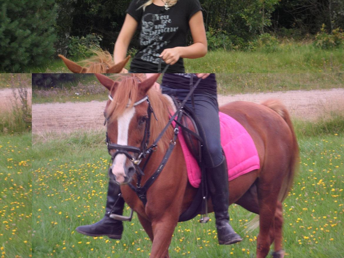 SKRK. Hyggelige tider med Skive Rideklub.  billede 21