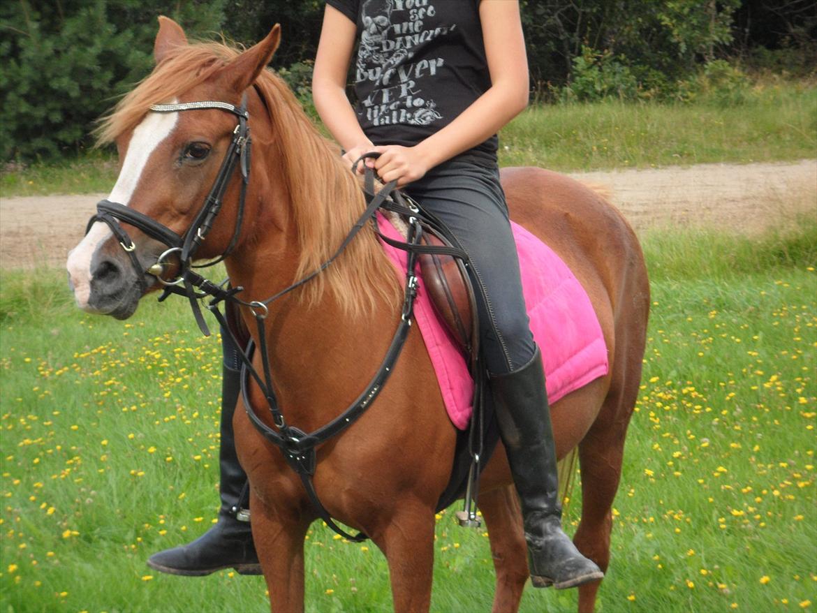 SKRK. Hyggelige tider med Skive Rideklub.  billede 22