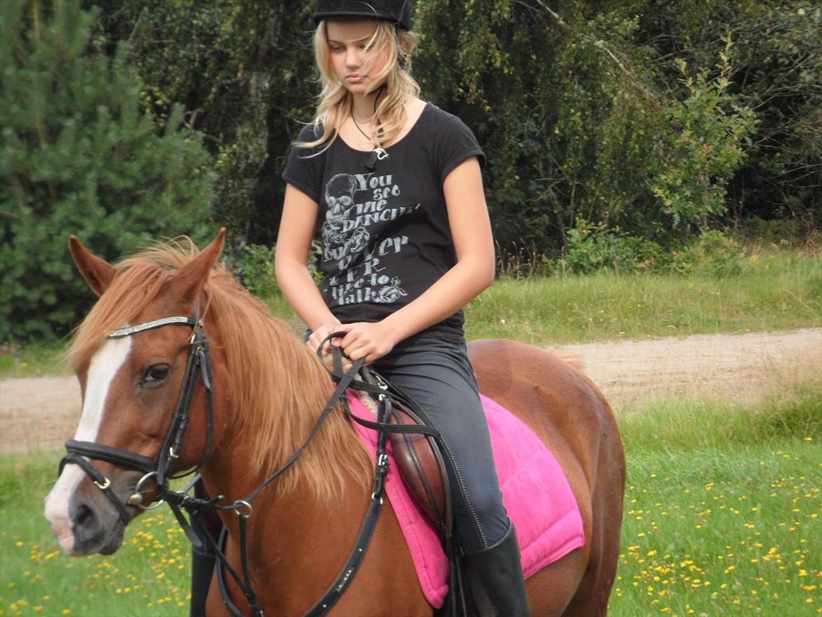 SKRK. Hyggelige tider med Skive Rideklub.  - søderne :) billede 23