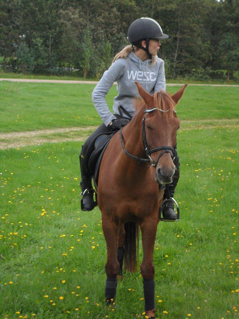 SKRK. Hyggelige tider med Skive Rideklub.  billede 25