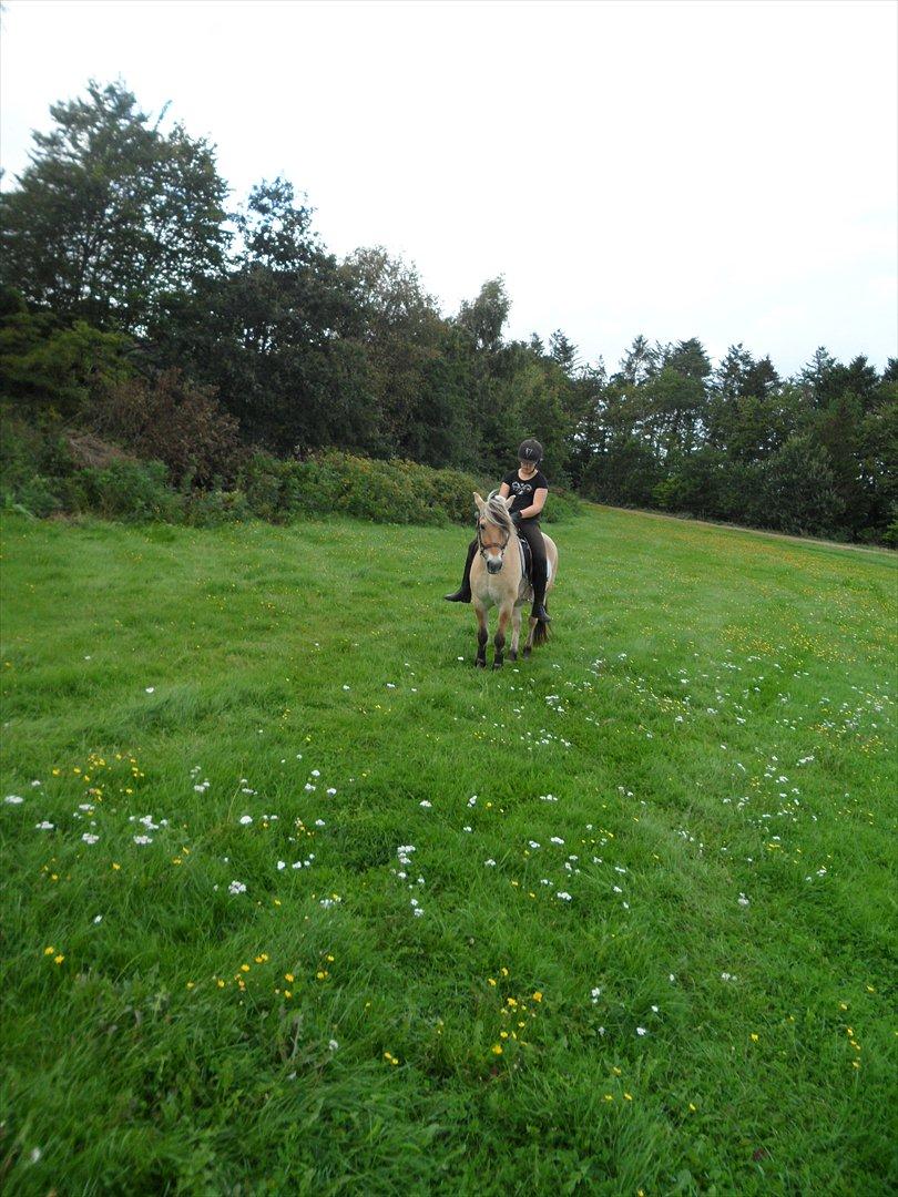 SKRK. Hyggelige tider med Skive Rideklub.  - Thilde og Jason :) billede 27