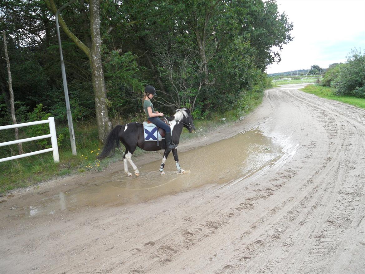 SKRK. Hyggelige tider med Skive Rideklub.  - PG og jeg i vandpyt :P billede 28