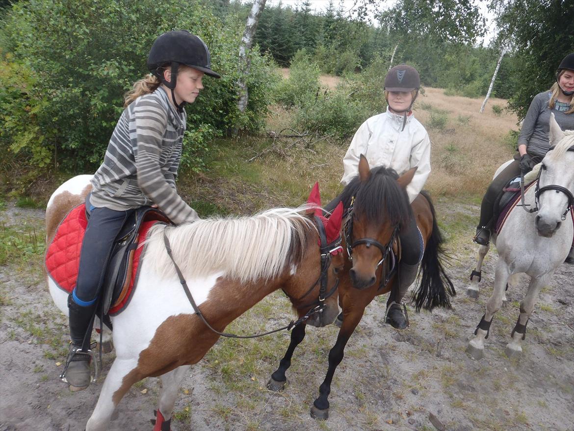 SKRK. Hyggelige tider med Skive Rideklub.  - Winnie og Tarzan har en Chrush! :) billede 40