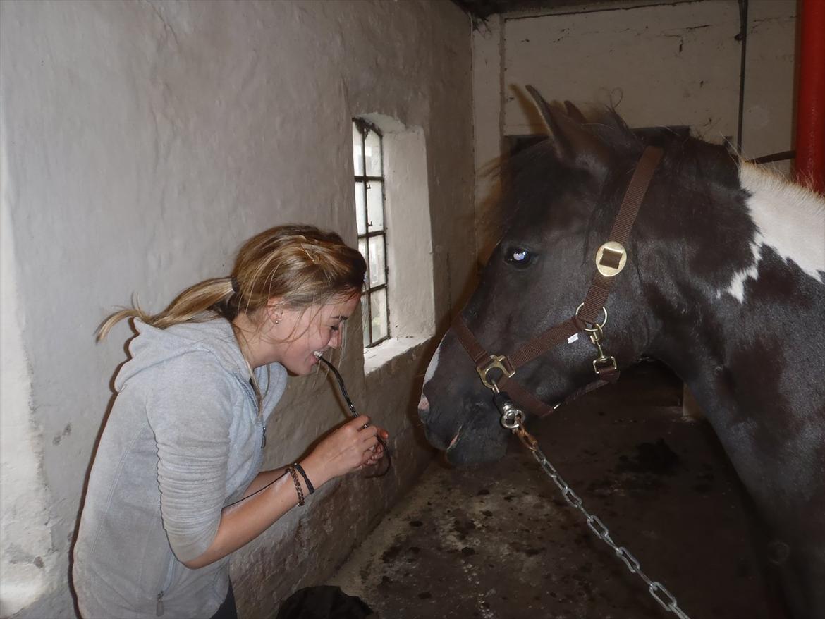 SKRK. Hyggelige tider med Skive Rideklub.  - Vi leger Lady og Vagabonden, med en lakrids snørre :P billede 41