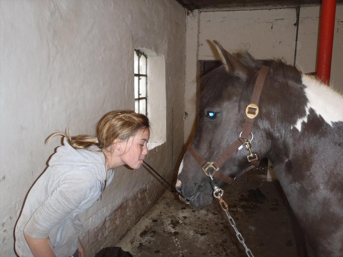 SKRK. Hyggelige tider med Skive Rideklub.  - Vi leger Lady og Vagabonden, med en lakrids snørre :P billede 42