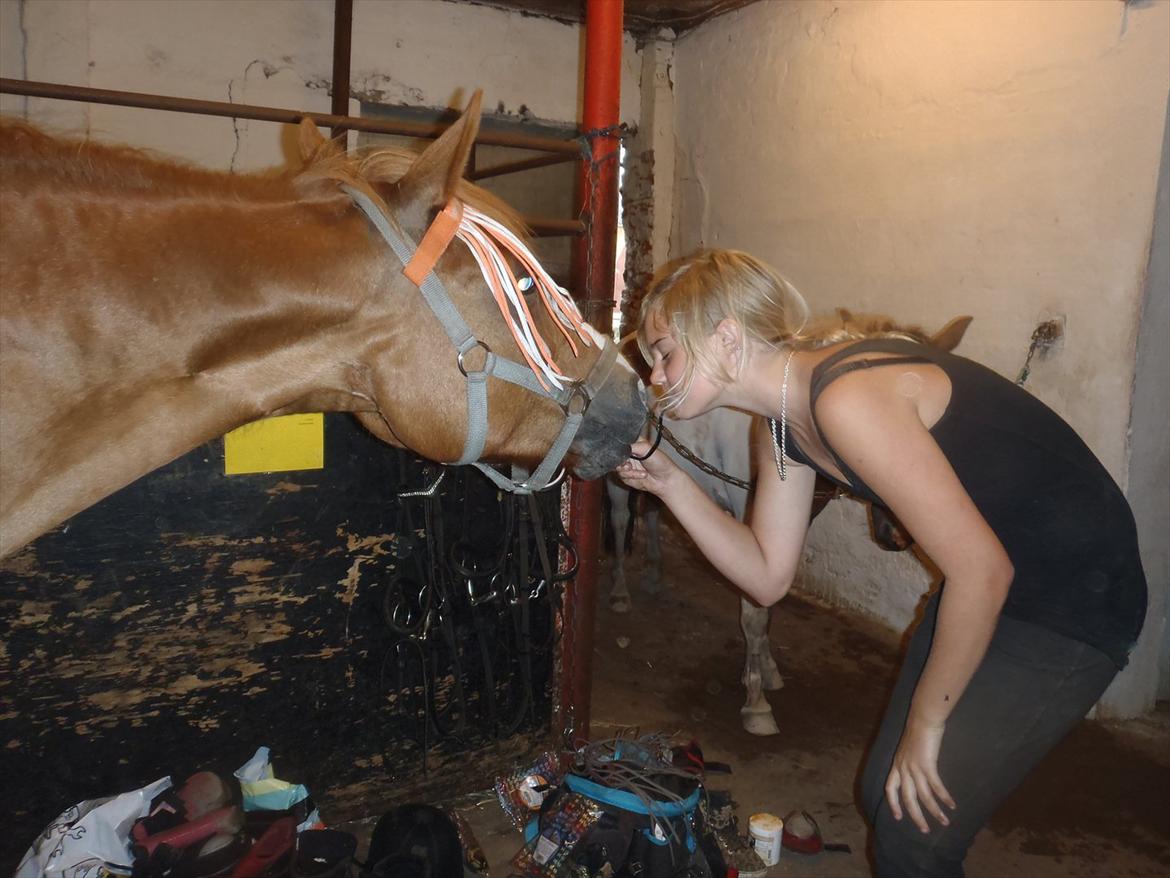 SKRK. Hyggelige tider med Skive Rideklub.  - De leger Lady og Vagabonden, med en lakrids snørre :P billede 43