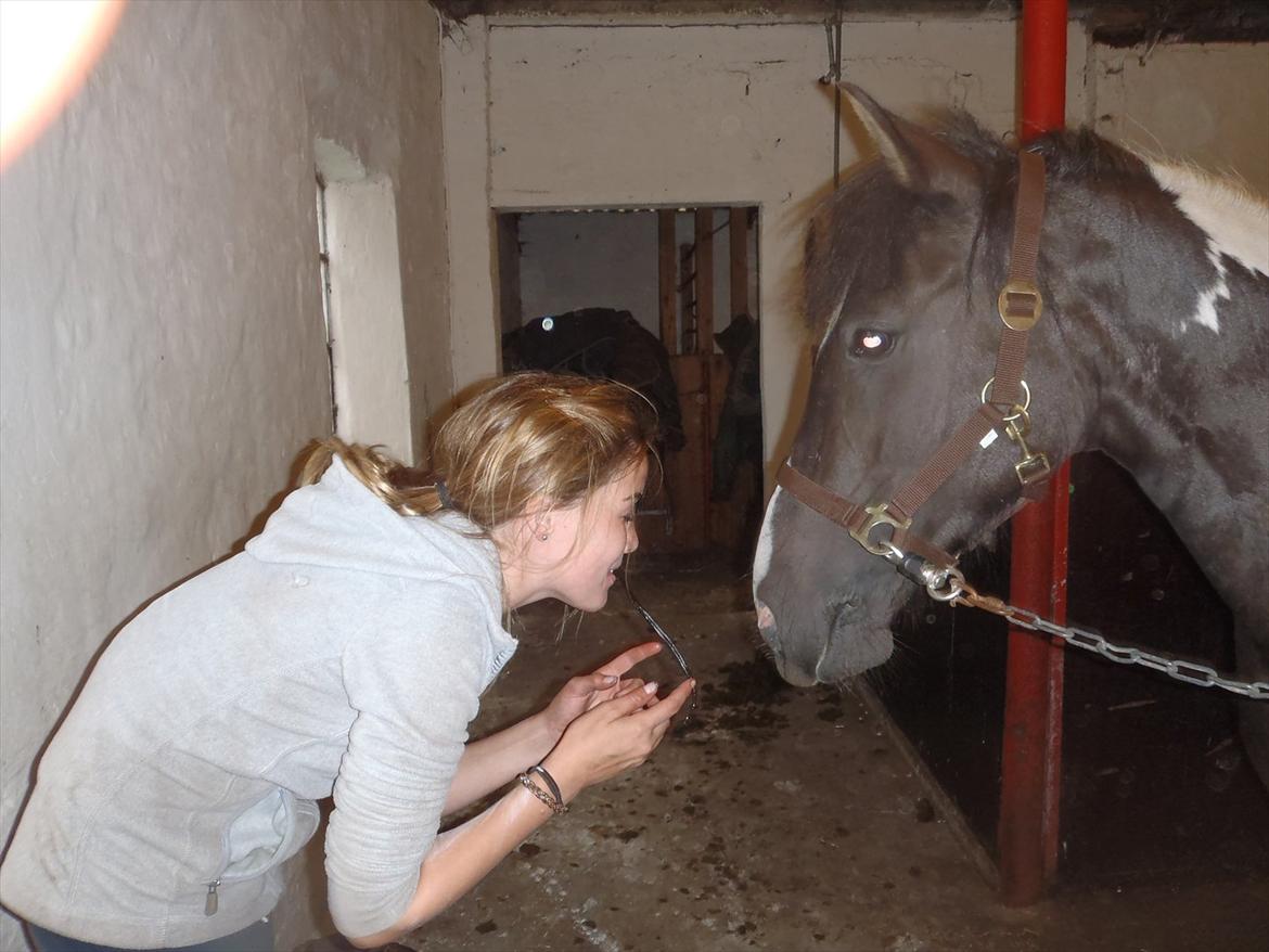 SKRK. Hyggelige tider med Skive Rideklub.  - Play Girl: Gi mig den lakrids Camilla!! billede 44