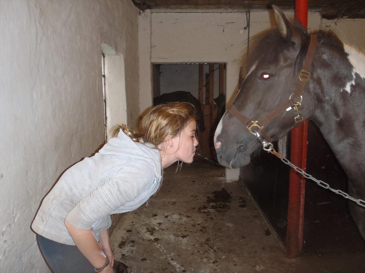 SKRK. Hyggelige tider med Skive Rideklub.  - Mmmh.. det smager godt. PG er ivrig og hiver til......... :) billede 45