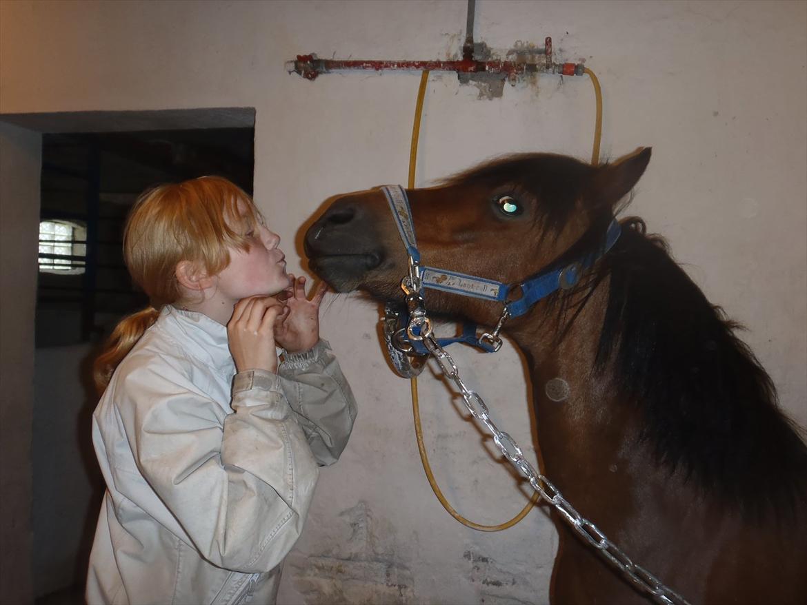 SKRK. Hyggelige tider med Skive Rideklub.  - Winnie og Signe <3 billede 46