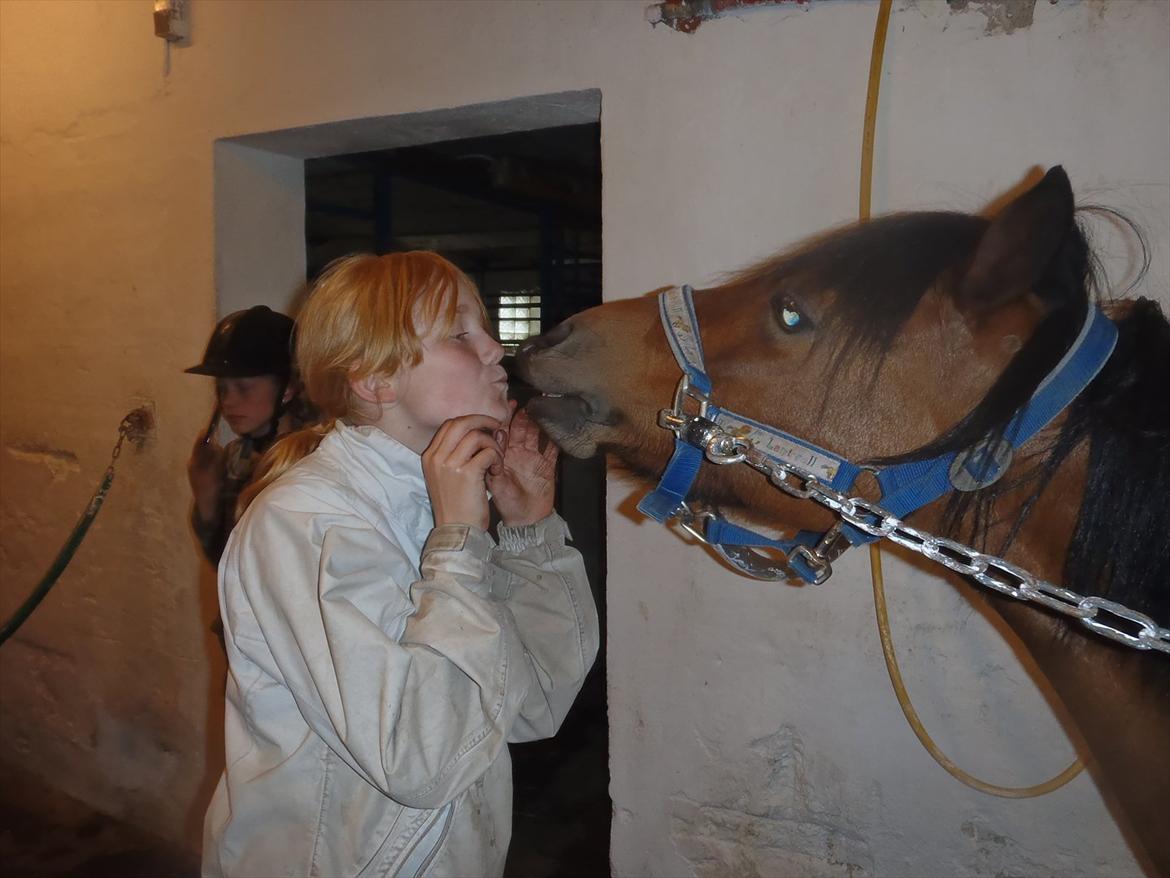 SKRK. Hyggelige tider med Skive Rideklub.  - Winnie giver signe mysser :) billede 47