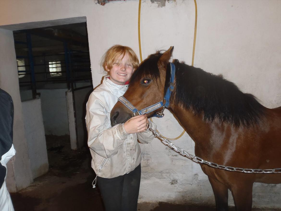 SKRK. Hyggelige tider med Skive Rideklub.  - søder ;) billede 48