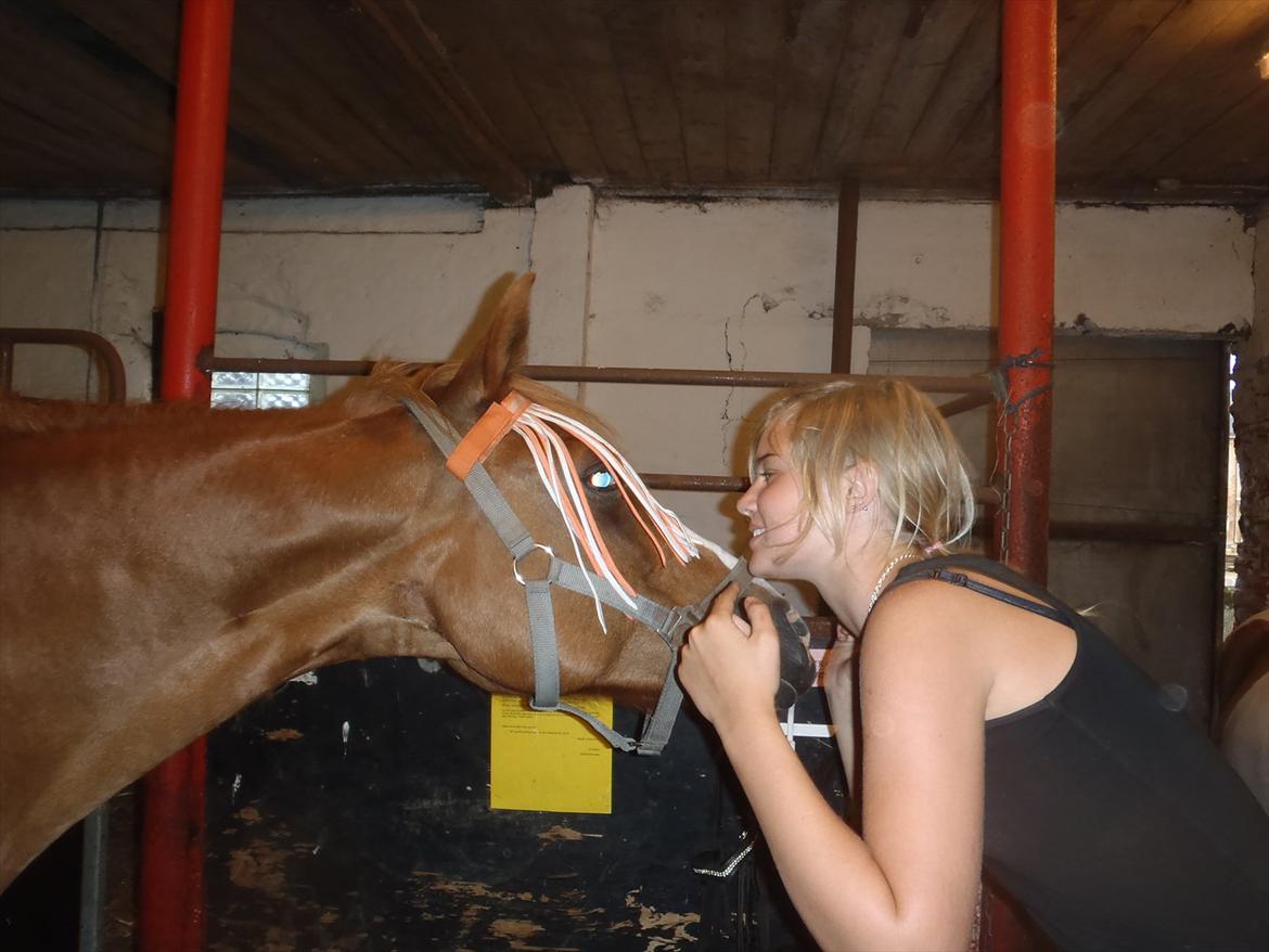 SKRK. Hyggelige tider med Skive Rideklub.  - Søder :) billede 49