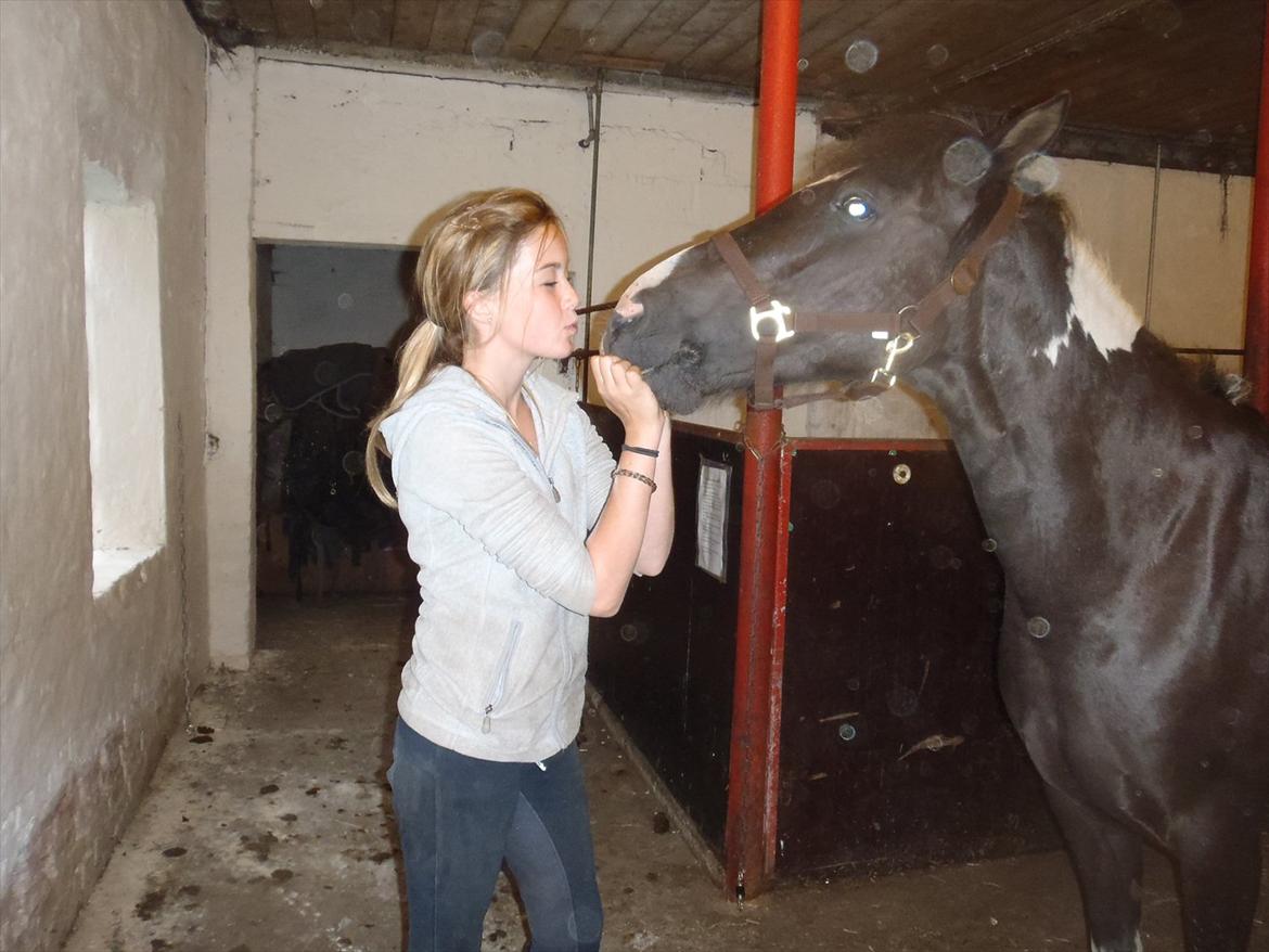 SKRK. Hyggelige tider med Skive Rideklub.  - Hi hi. :) billede 50