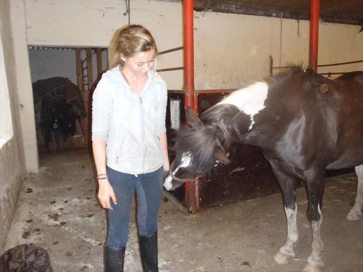 SKRK. Hyggelige tider med Skive Rideklub.  - Mhh.. Kunne det tænke sig at du havde noget i hånden?? :) billede 51