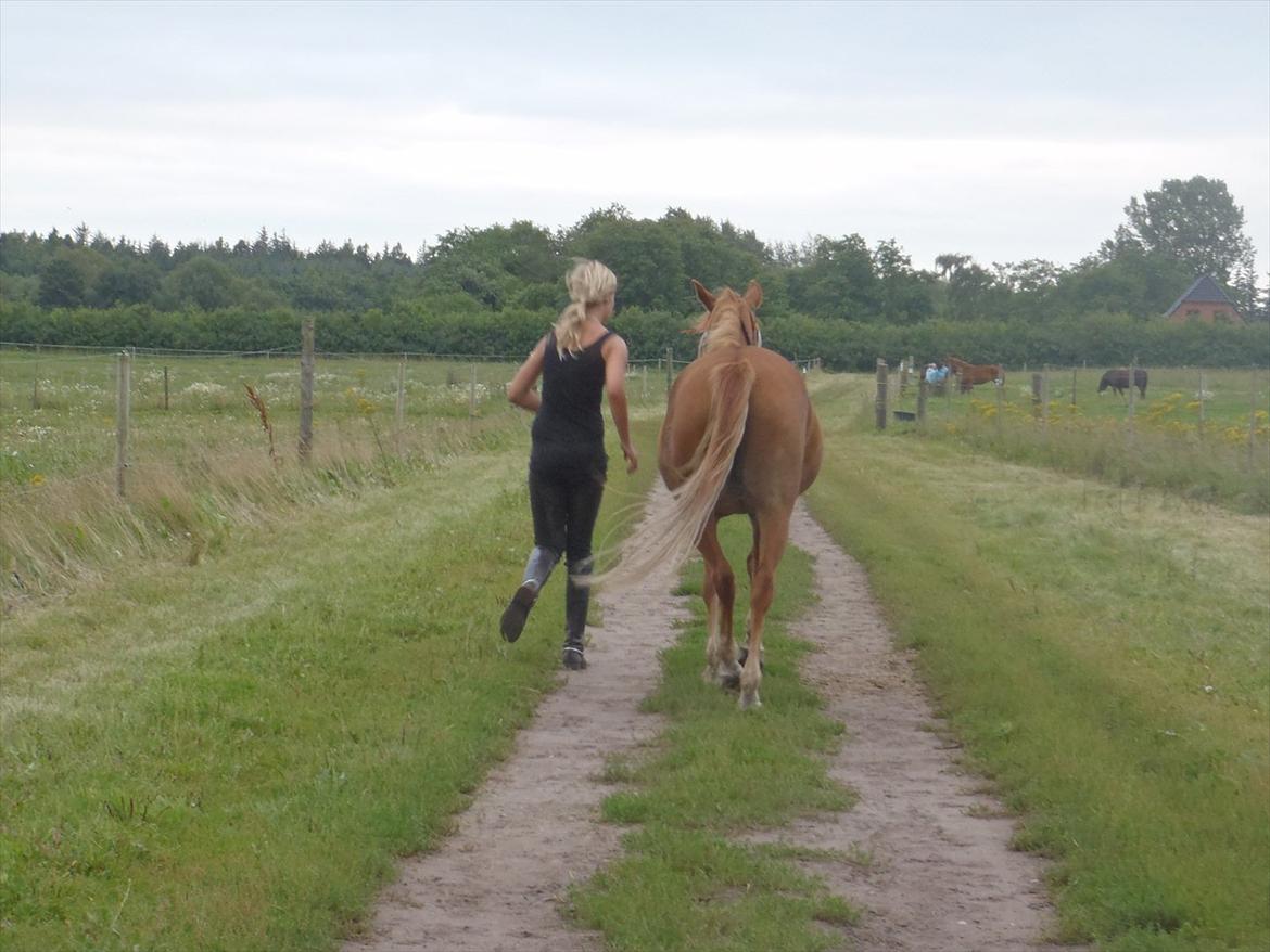 SKRK. Hyggelige tider med Skive Rideklub.  - Sanne følger Delphine på fold :P  billede 53