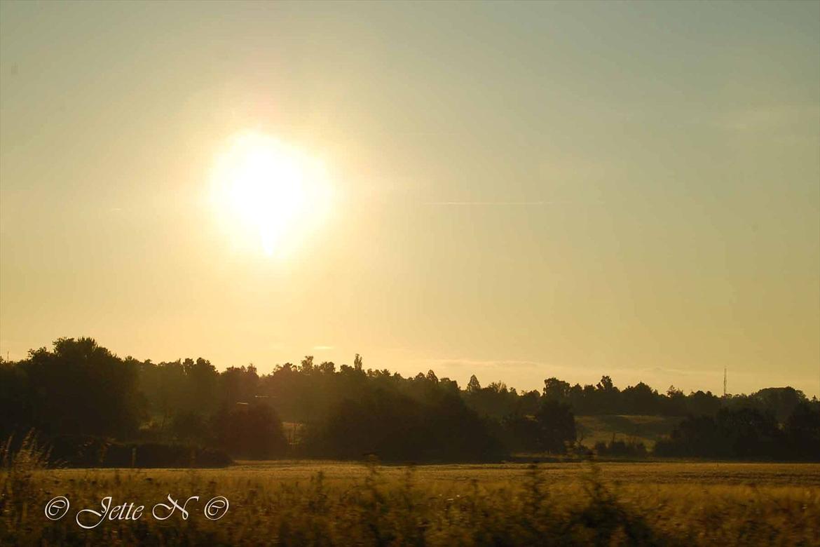 Billeder fra Norge 2011 - På vej gennem det Nordsjællandske landskab (Nikon D40 med 18-55 mm II f/3,5-5,6 objektiv) billede 1