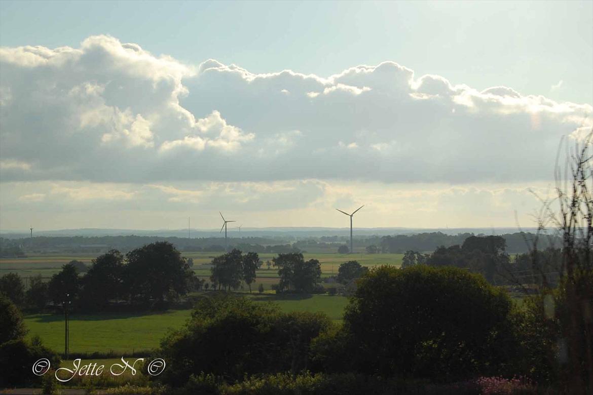 Billeder fra Norge 2011 - På vej ned fra Hallendsåsen i Sverige (Nikon D40 med 18-55 mm II f/3,5-5,6 objektiv) billede 3