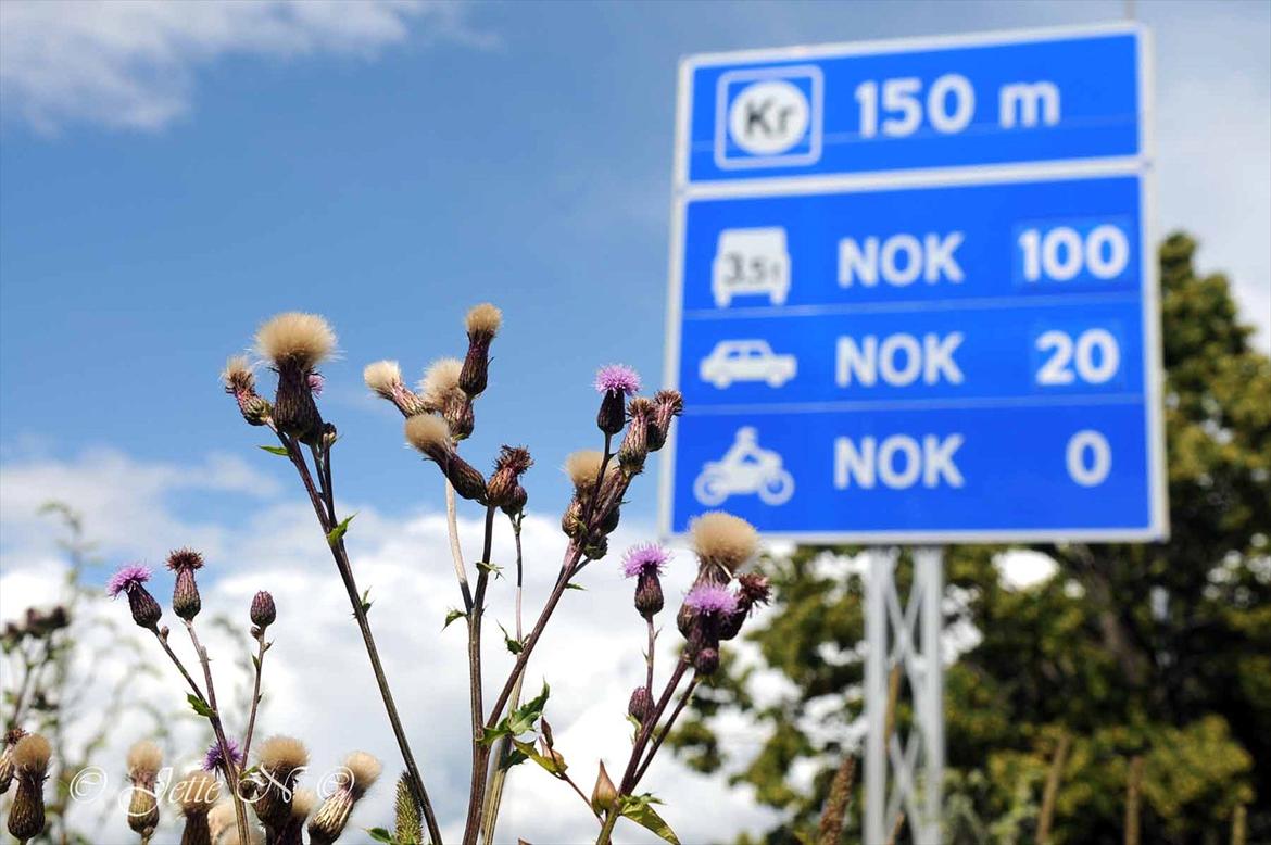 Billeder fra Norge 2011 - Skilt med priser på at komme over Den gamle Svinesundbro til Norge (Nikon D300s med 17-55 mm f/2,8 objektiv) billede 6