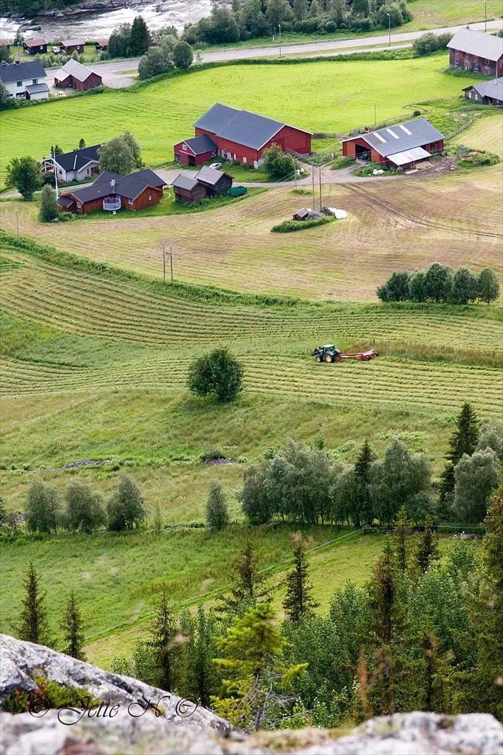 Billeder fra Norge 2011 - Den travle bonde lige neden for Gjeiteberget  (Nikon D300s med 17-55 mm f/2,8 objektiv)  billede 16