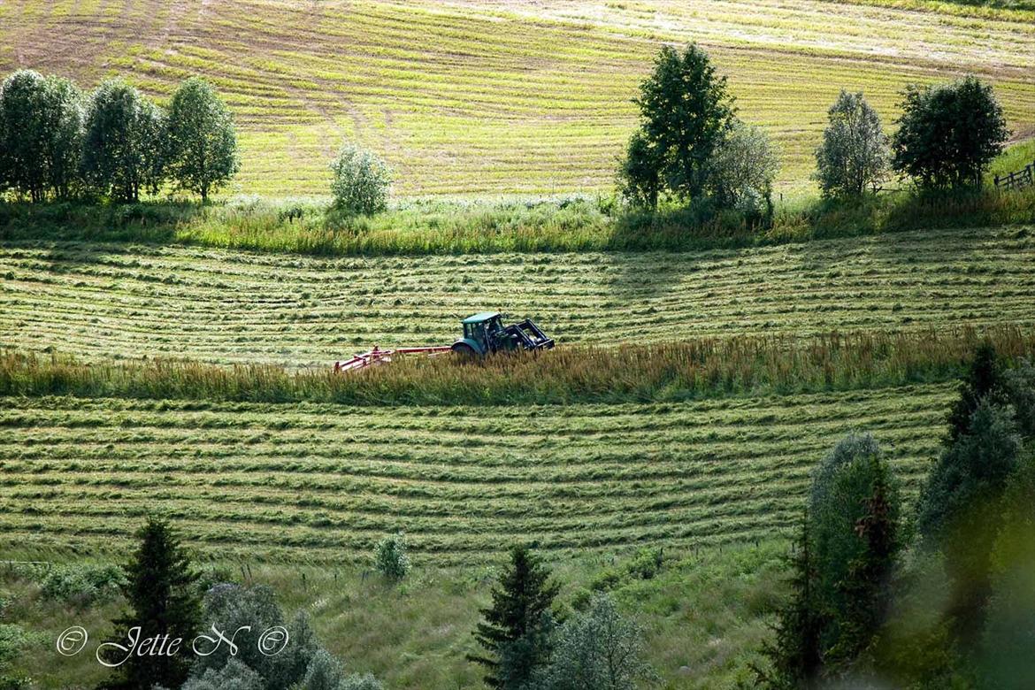 Billeder fra Norge 2011 - (Nikon D300s med 55-200 mm VR f/4-5,6 objektiv)  billede 19