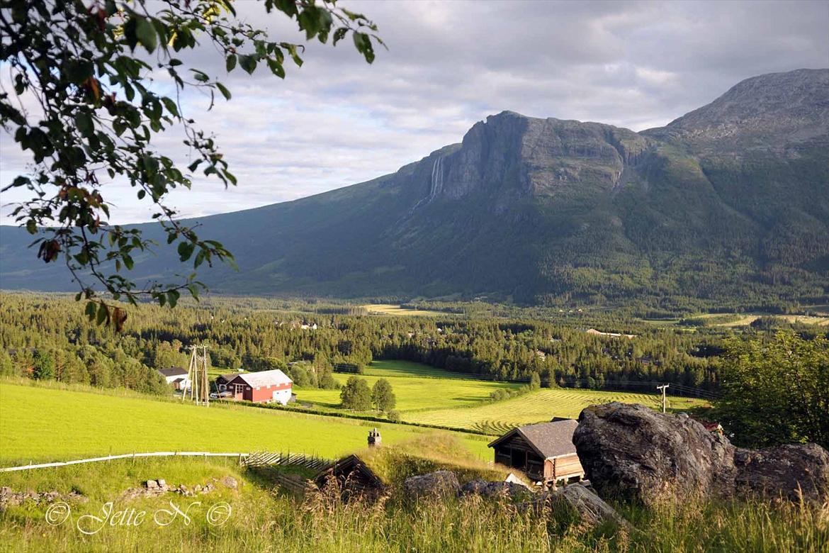 Billeder fra Norge 2011 - Udsigt over dalen - over til Hydnefossen - fra Hemsedal Bygdatun (Nikon D300s med 17-55 mm f/2,8 objektiv)  billede 23