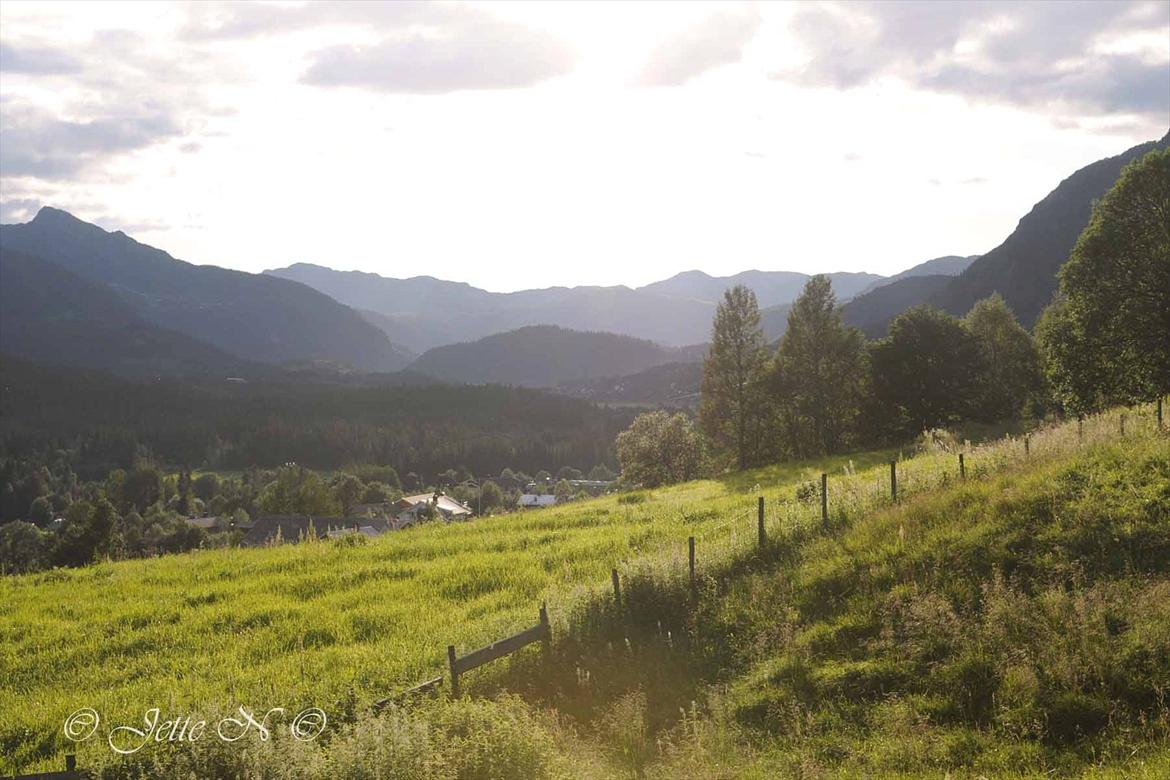 Billeder fra Norge 2011 - (Nikon D300s med 17-55 mm f/2,8 objektiv)  billede 24