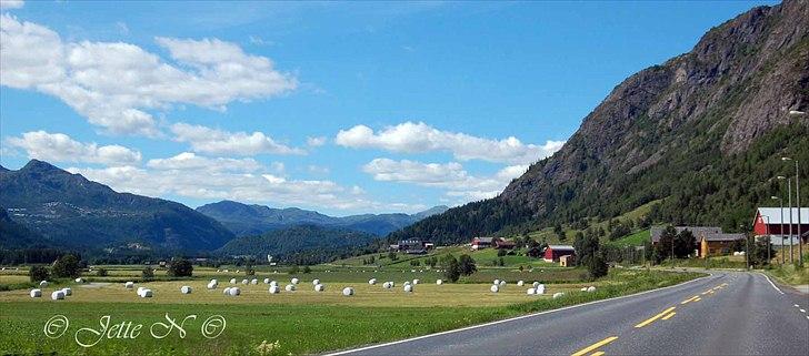 Billeder fra Norge 2011 - Marklandskab i Hemsedal (Nikon D40 med 18-55 mm II f/3,5-5,6 objektiv) billede 30