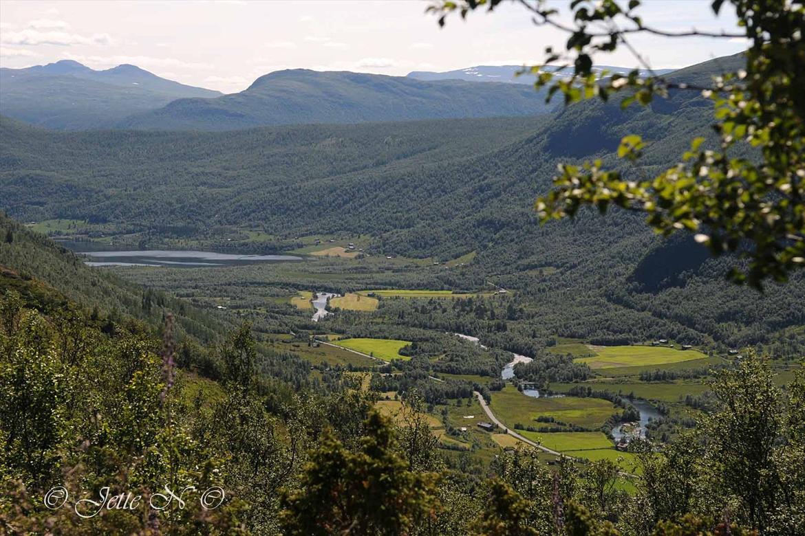 Billeder fra Norge 2011 - Grøndalen set fra vejen til Hydalen (Nikon D300s med 17-55 mm f/2,8 objektiv) billede 31