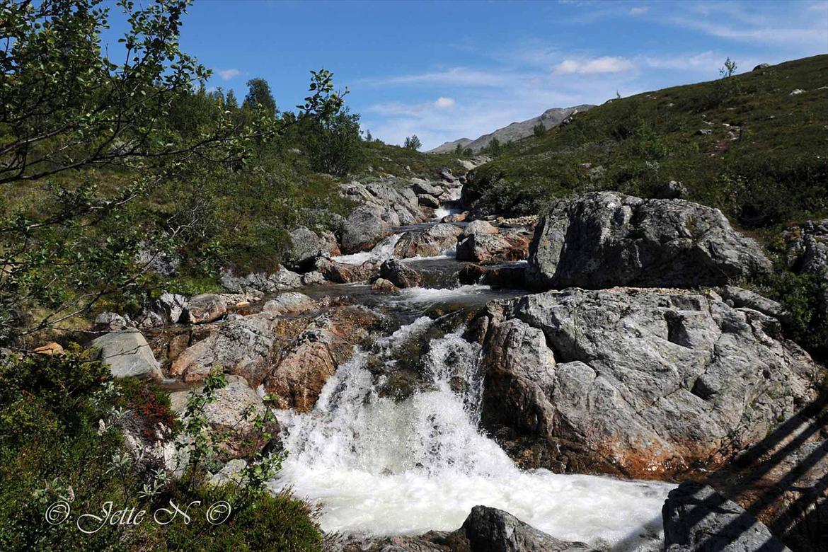 Billeder fra Norge 2011 - På vej til toppen af Kvitingatn passerede vi en smuk elv (Nikon D300s med 17-55 mm f/2,8 objektiv) billede 32